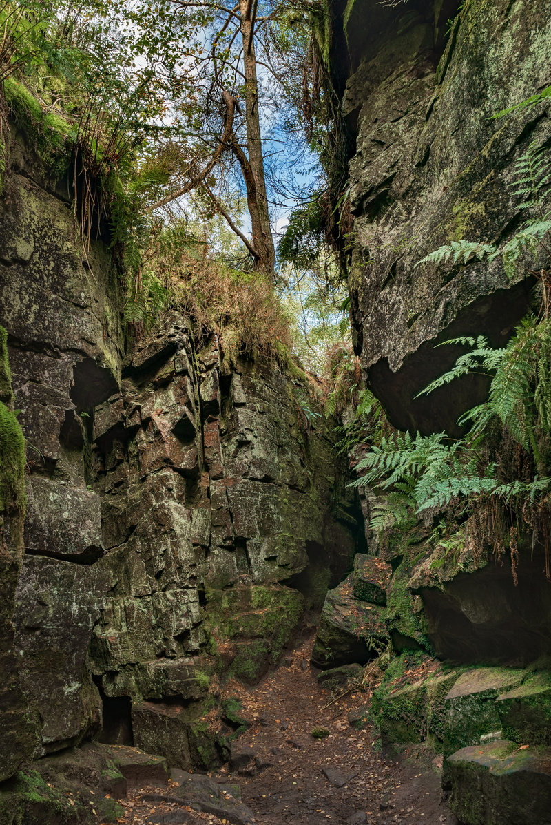 no people, rock - object, landscape, tourist, luds church, growth, eroded, day, rock formation, 4K, scenics - nature, the way forward, tree, rocks, tranquility