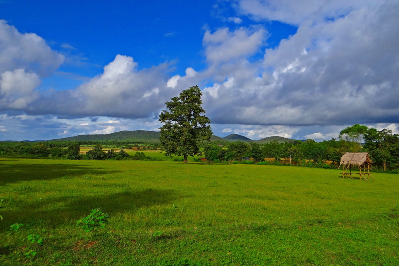 mundgod, no people, india, stratocumulus-clouds, karnataka, tranquil scene, scenics - nature, non-urban scene, grass, landscape, field, 4K, land, paddy cultivation