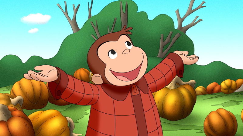 halloween, autumn, george, 1080P, curious