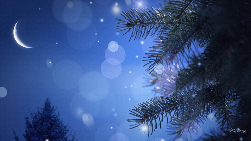 moon, night, calm, 3d, bokeh, blue, stars, tree, firefox persona, 1080P, christmas, bubbles, bright, holiday, winter