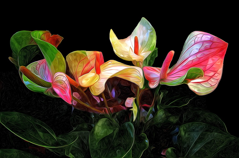 Artistic, Leaf, Painting, Calla Lily, 2K, Flower, Oil Painting