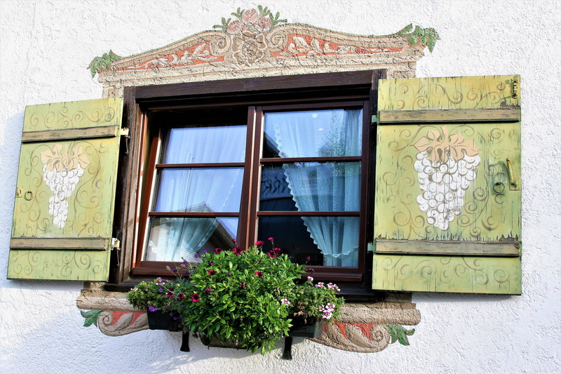 plant, building exterior, painted, ancient, shutters, architecture, 4K, wall - building feature, built structure, outdoors, flowering plant, growth, art and craft