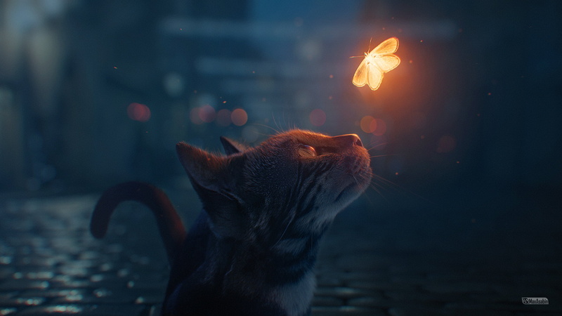 cat, 2K, bokeh, butterfly, night, by maxasabin
