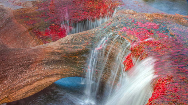 The Serrania de La Macarena, mountains, 1080P, Colombia, river, Caño Cristales