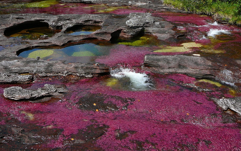 cano cristales, 2K