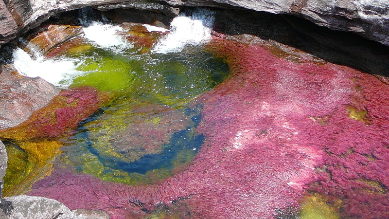 2K, cano cristales