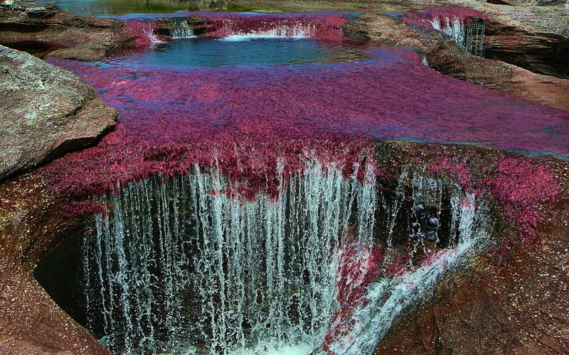nature, 2K, multi colored, tranquil scene, high angle view, land, reflection, cano cristales, water, tranquility, pollution, outdoors, beauty in nature