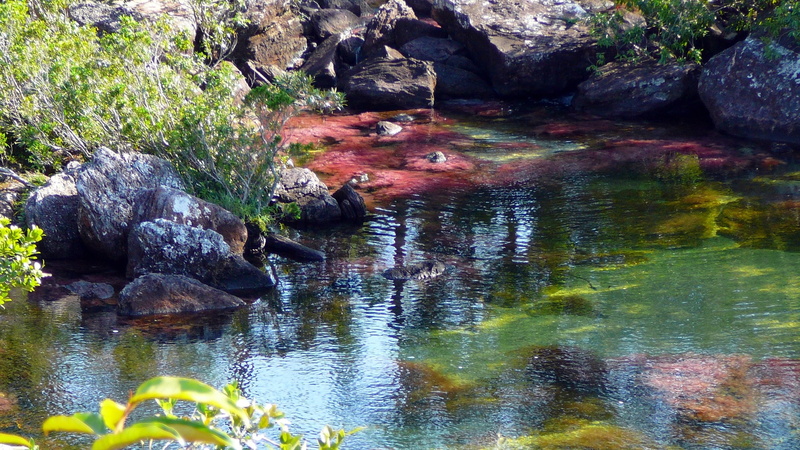 2K, cano cristales