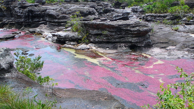 2K, cano cristales
