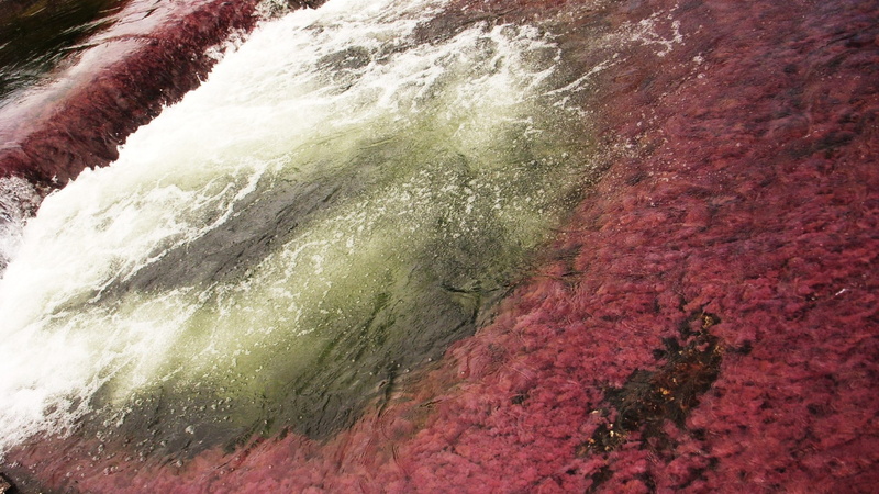 1080P, cano cristales