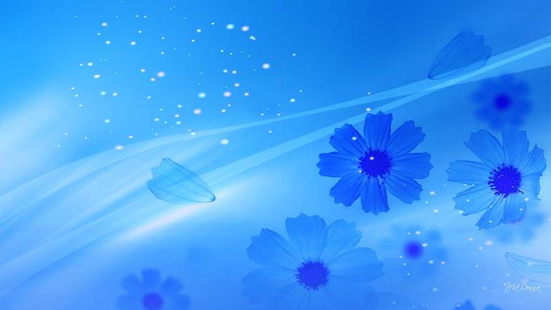 flowers, blowing, 3d and abstract, wind, spring, petaled, flower, glow, design, multi, blue, petals, graphic, summer, 1080P
