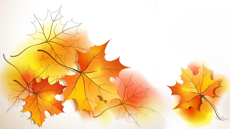 abstract, fall, shine, leaves, 1080P, yellow, orange, sunshine, gold, autumn, maple
