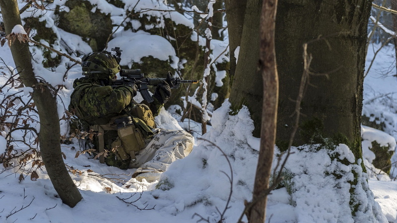 cold temperature, military, snow, soldier, nature, government, plant, land, white color, clothing, 1080P, beauty in nature, covering, environment, day