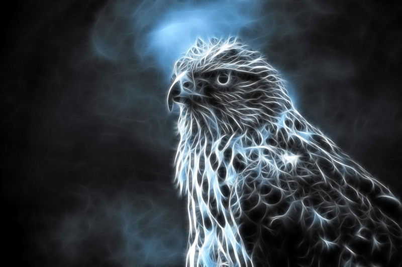 Birds, 1080P, Falcon, eagle, black, CGI, white, Falcon (Marvel Comics)