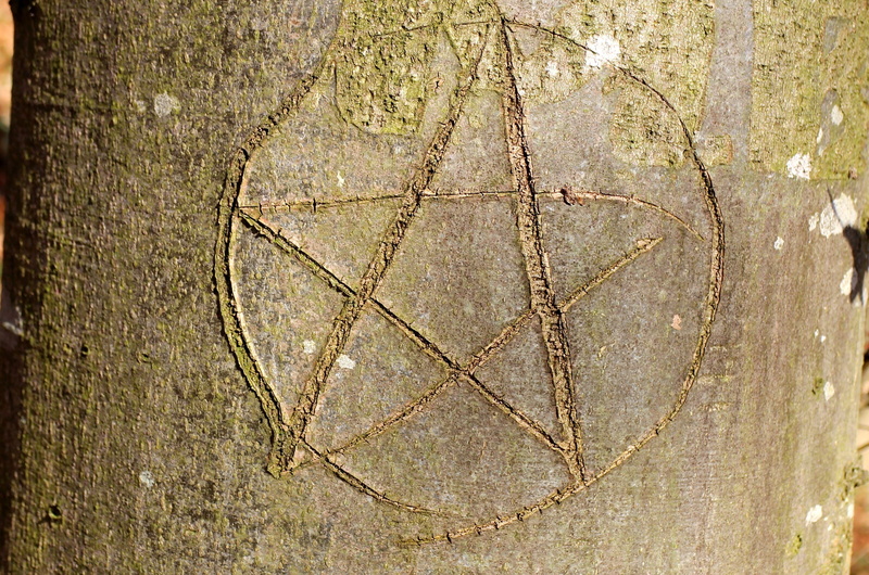 star, pentacle, craft, pattern, brown, tree bark, paganisch, full frame, engraved, day, outdoors, close-up, shape, textured, eingeritzter tree, backgrounds