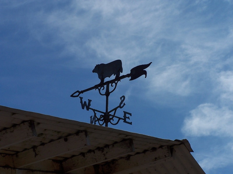 built structure, building, outdoor, vintage, weathercock, sky, communication, metal, representation, weather-vane, outdoors, south, old, cloud - sky, windy