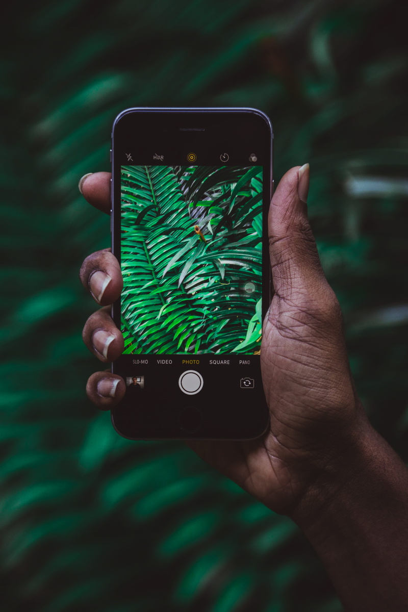 portable information device, green, photographing, outdoors, plants, communication, 5K, green color, one person, device screen, human body part, human hand