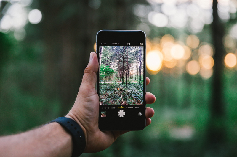tree, technology, mobile phone, photo, photo messaging, watch strap, space, focus, gray, person, forest, cellphone, holding, screen, human hand, outdoors