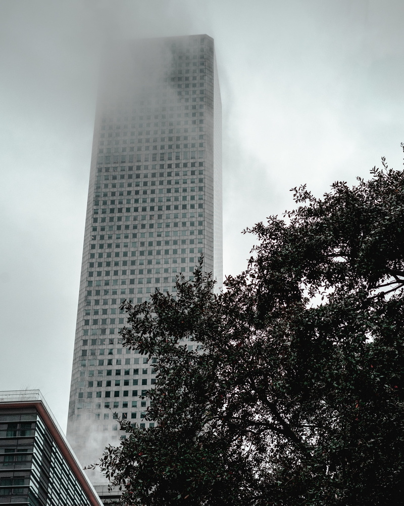fog, city, outdoors, architectural design, perspective, 4K, skyline, office building exterior, tall - high, urban, foggy, plant, built structure, building exterior