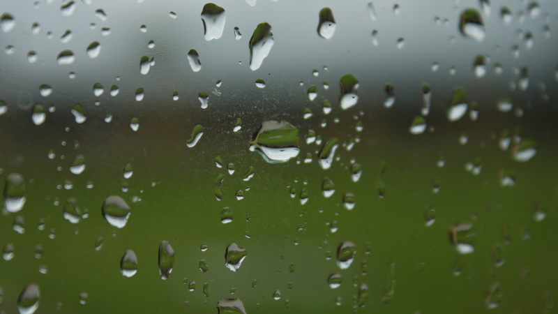 Raindrop, wet, no people, close-up, full frame, Window, day, focus on foreground, plant, droplet, condensation, rainy season, outdoors, water, rain, weather