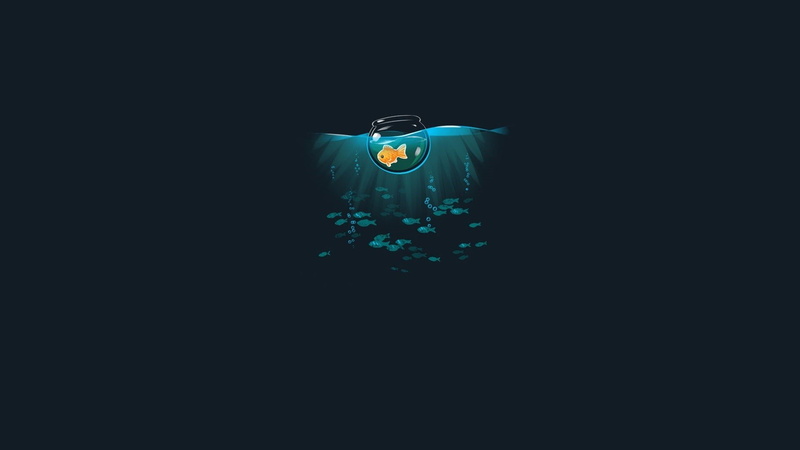 threadless, artwork, fish, minimalism, Simple, sea, 1080P