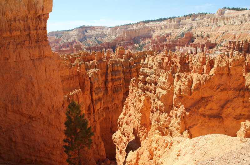 nature, united states, geology, desert, sandstone, rock - object, tranquility, day, rock formation, formation, non-urban scene, solid, beauty in nature
