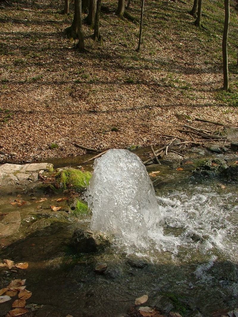 outdoors, day, tree, spring, no people, field, land, freshness, source, beauty in nature, plant, flowing water, stone, rock - object, solid, tranquility