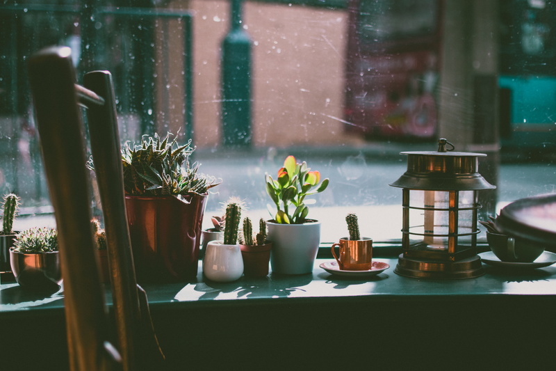 pot, reflection, window sill, container, water, lantern, architecture, wood - material, transparent, cacti, room, window, day, seat, rain, near, potted plant