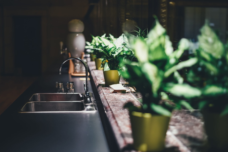 no people, selective focus, domestic life, furniture, home interior, wash area, reflection, household equipment, potted plants, domestic room, sink, kitchen sink