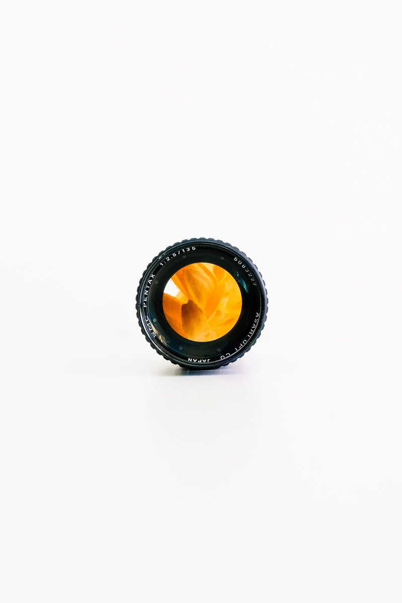flower, car wheel, temptation, copy space, cameralens, still life, 2K, audio speaker, leaves, orange color, close-up, indoors, apparel, freshness, wheel