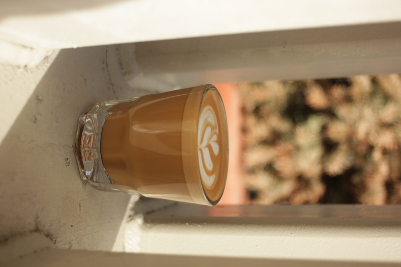 still life, machine, latte, alcohol, cup, spoke, nature, one animal, glass - material, way, wheel, dorm room, milk, wall - building feature, no people