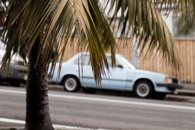 mode of transportation, focus, travel, 5K, parked, beside, near, land vehicle, sports car, plant, car wheel, motor vehicle, nature, palm leaf, automobile