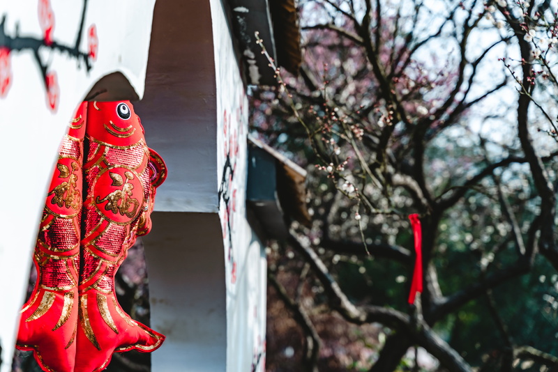 boot, animal, coffee cup, gown, celebration, hanging, red, creativity, close-up, footwear, art and craft, machine, animal representation, evening dress