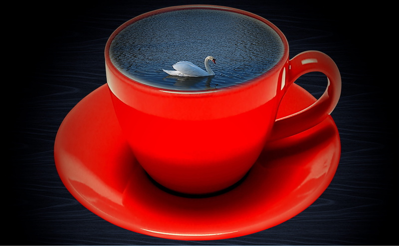 teacup, red, refreshment, heat - temperature, day, swim, freshness, swan, ceramic, water, close-up, hot drink, studio shot, black background, food and drink