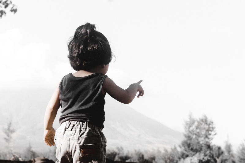 standing, pointing, white, tree, rear view, focus on foreground, human, light, casual clothing, shorts, volcano, day, toddler, one person, boys, outdoors