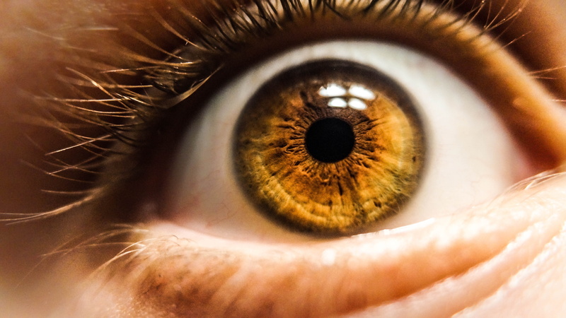 adult, body part, pet, wide eyed, eyelash, human, macro, brown, human eye, one person, photography, wide eye, detail, retina, mammal, beautiful woman, looking