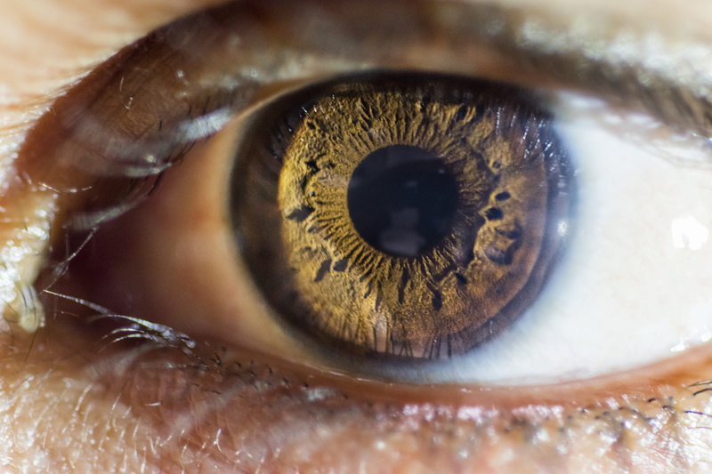 iris - eye, human face, beautiful woman, human body part, real people, eye, eyelid, looking at camera, hazel eyes, sensory perception, photo, body part