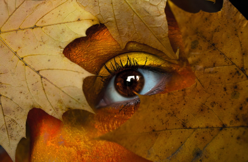 apparel, eyelash, looking, tree, close, contact lens, change, close-up, beautiful woman, iris - eye, coat, fruit, crystal, photography, overcoat, looking at camera