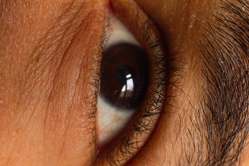 looking, eyebrow, blossom, eyelash, human eye, extreme close-up, eyeball, mascara, young adult, browneye, contact lens, eyes, brown, close-up, human face