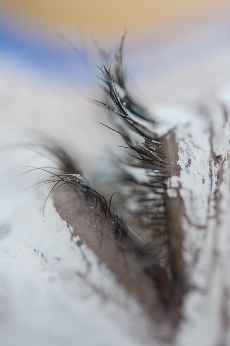 photography, exposure, contact, white, body part, art, model, eye, young girl, extreme close-up, aesthetics, snow, person, human, 4K, people, modern, land