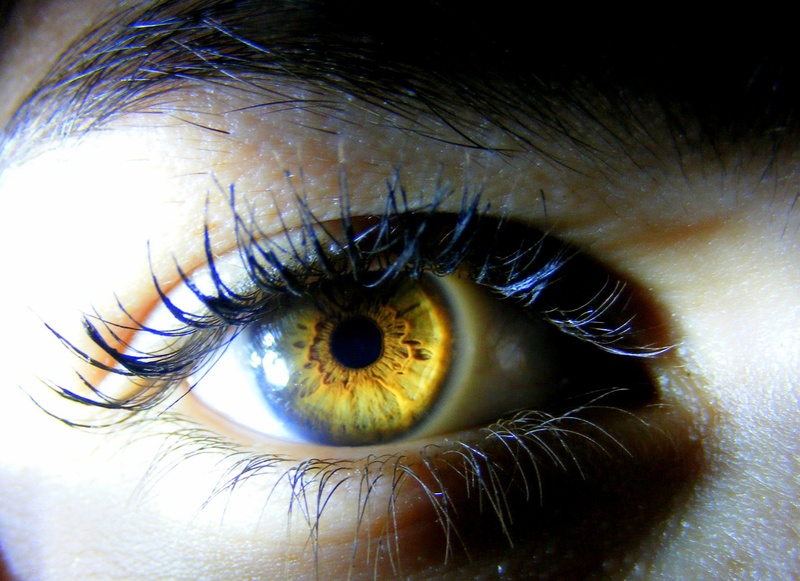 iris - Eye, 1080P, people, macro, light, close-up, sensory perception, eye, eyesight, human skin, women, eyeball, iris, real people, beautiful, brown