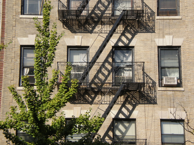 fire escape, staircase, tree, low angle view, sunlight, new york, emergency exit, united states, window, nature, day, plant, building exterior, morningside heights