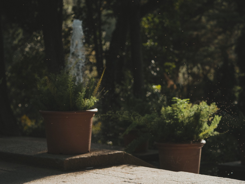 wood - material, jar, sunlight, potted plant, outdoors, table, green color, stone, apparel, suit, brown, dust, 5K, focus on foreground, day, front or back yard