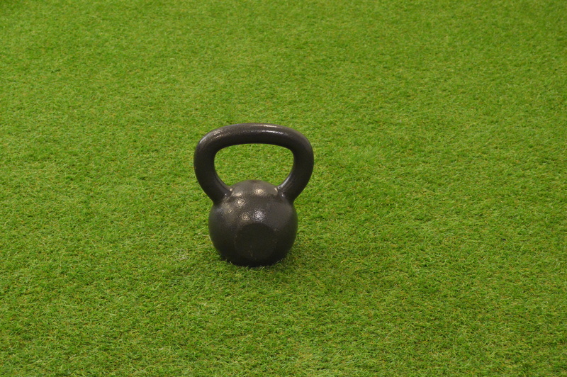 dumbbells, cardio, 5K, no people, weights russian, mammal, nature, abdomen, green color, sport, fitness, coach, sports, weighs, grass, field, one animal