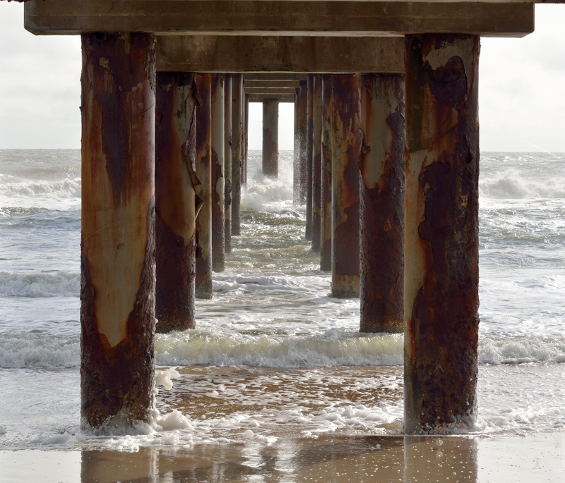 beneath, scene, under, photo, pier, architecture, bridge, no people, wooden post, sport, below, built structure, underwater, aquatic, ocean, architectural column