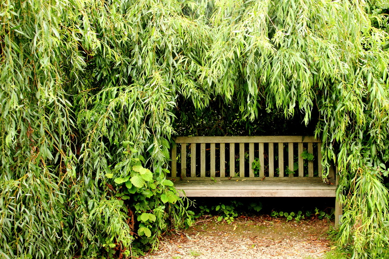 hedge, green leaf, built structure, recovery, nature, wooden, rest, brown, break, park - man made space, out, relaxation, garden bench, no people, shadow