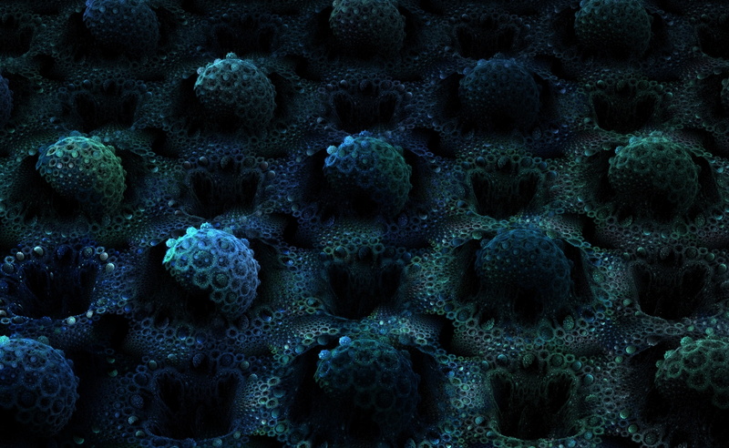 s, apophysis, invertebrate, full frame, backgrounds, beneath, textured, surface, Abstract, black, water, sea life, gray, sea, animal, coral, animal wildlife