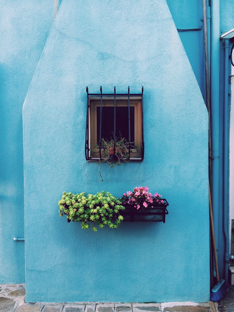 flower, building, cultures, old, bars, europe, beneath, no people, facade, flowers, day, outdoors, nature, plant, pots, blue, flower pot, potted plant