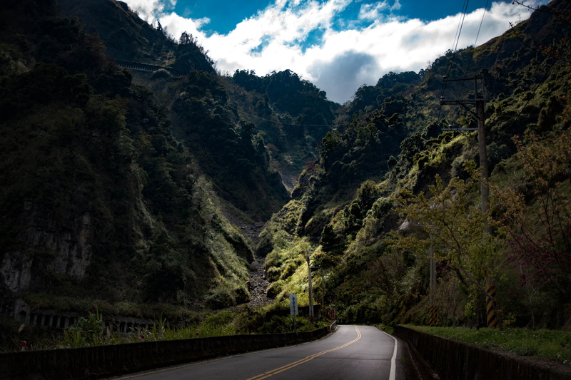 beauty in nature, plant, the way forward, scenics - nature, taiwan, day, mountain range, sky, alishan national scenic area, light, diminishing perspective
