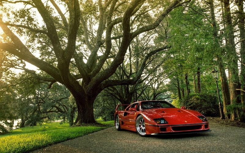f-40, ferrari, 1080P, trees, hdr, cars, red